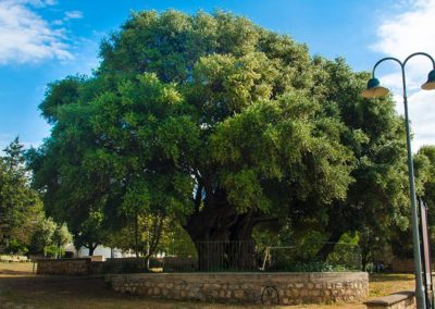 Santa Maria Navarrese Baunei Ogliastra Sardegna